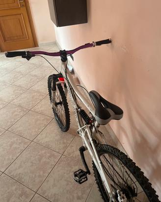 rockrider fr6