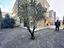 Immagine 12