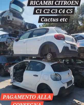 RICAMBI CITROEN C1 C2 C3 C4 C5 JUMPER CACTUS DS3 4