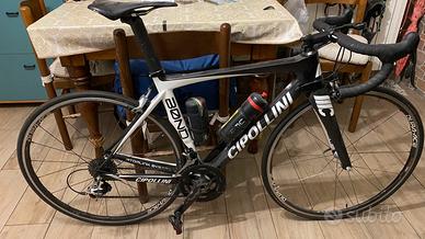 Cipollini Bond
