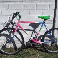 Mountain bike