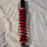 fantic regolarità 