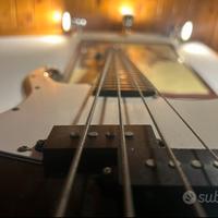 Basso (peavey zodiac)