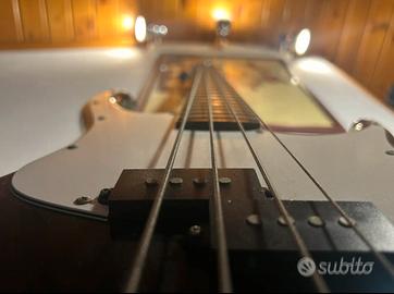 Basso (peavey zodiac)