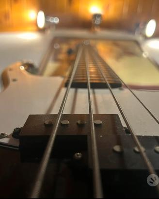 Basso (peavey zodiac)