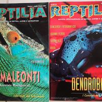 Reptilia, numeri 1 e 2 del 2001, rettili e anfibi