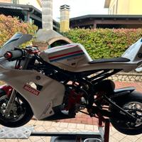 Minimoto modello Tecnomoto 2023