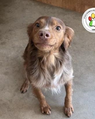 ZEN hai lo sguardo spaventato