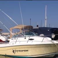 Seaswirl striper 21 10 limited fisherman walkaroun