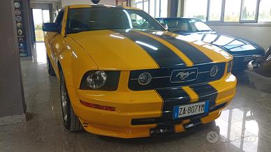 Mustang 