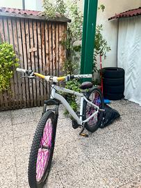 Rock Rider expl 50