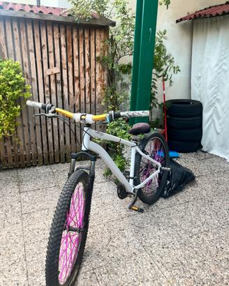 Rock Rider expl 50