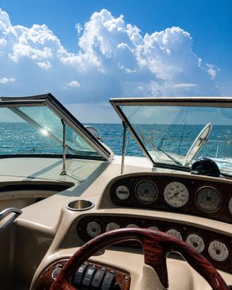 FOUR WINNS VISTA 288 – 2 VOLVO PENTA 4.3 GXi