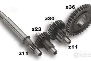 Ingranaggi Malossi ciao si bravo rapporto lungo