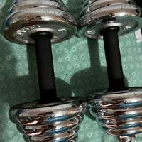 Manubri regolabili palestra 2x10kg ciascuno