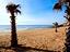 Immagine 19
