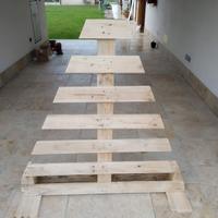 alberi per il natale