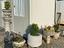 Immagine 29
