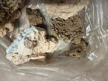 rocce per acquario marino 