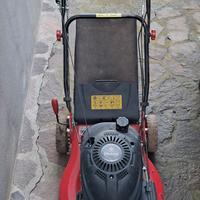 taglia erba funzionante