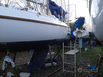 Barca a vela jouet 27