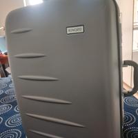valigia Roncato fatto un viaggio euro 40 
