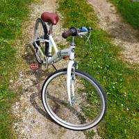 Bici Mountain bike bambina