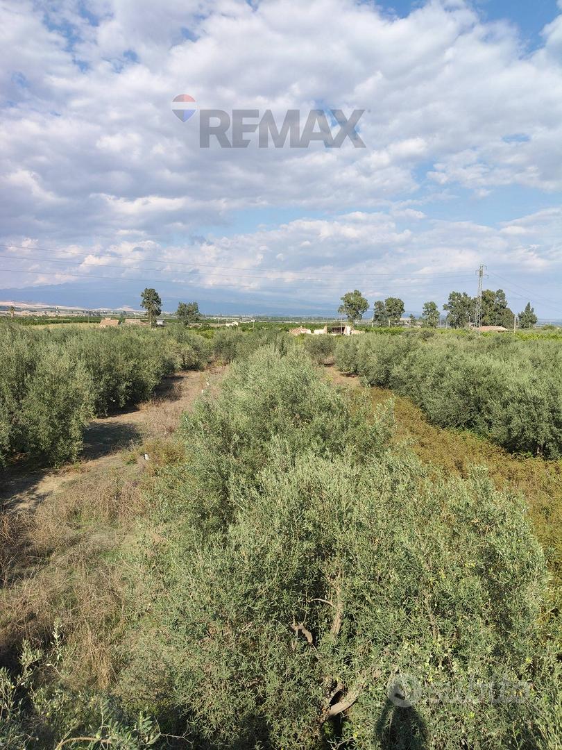 Terreno - Ramacca - Vista 5