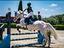 Immagine 5