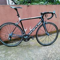 Bici da Corsa Focus, full carbon