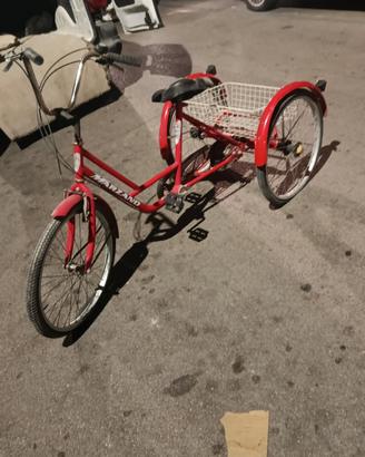 bicicletta a 3 ruote
