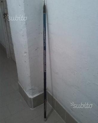 Canna bolognese 7 mt