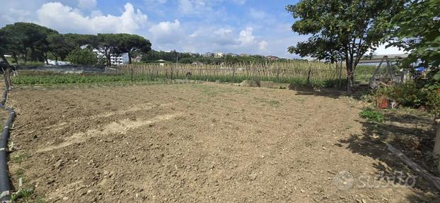 TERRENO RECINTATO PER PIAZZALE