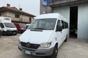 Mercedes-Benz Sprinter 311 CDI/8 POSTI/PULLMINO/PE