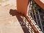 Immagine 13