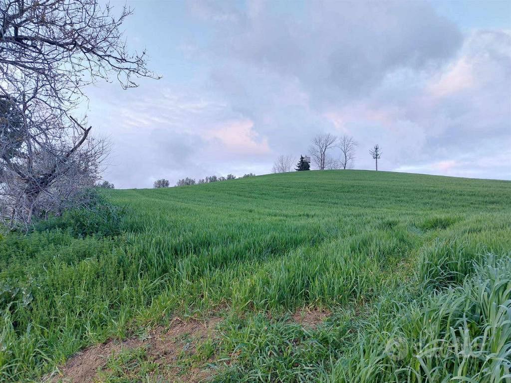 Terreno di 41169 m² a Castel Frentano - Vista 2