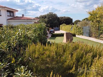 Villa Filigheddu