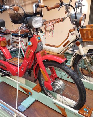 Collezione veicoli vintage Piaggio