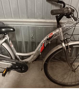 bici donna esperia