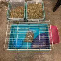 Set gabbia e accessori coniglio, cavia, roditore