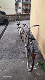 due bici da passeggio 