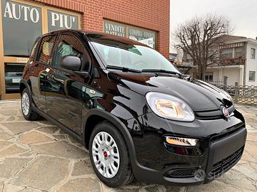 FIAT PANDA 1.0 benzina hybrid KM 0 pronta consegna