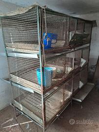 Gabbie  per conigli