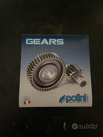 Rapporti scooter motore Piaggio