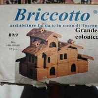 Briccotto