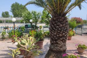 Ippocampo villetta (giugno, settembre)
