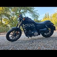 Harley Davidson 883 iron