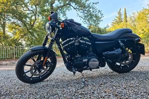 Harley Davidson 883 iron