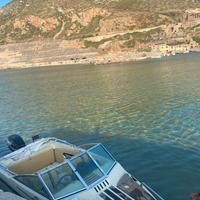 Barca a motore