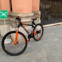 bicicletta